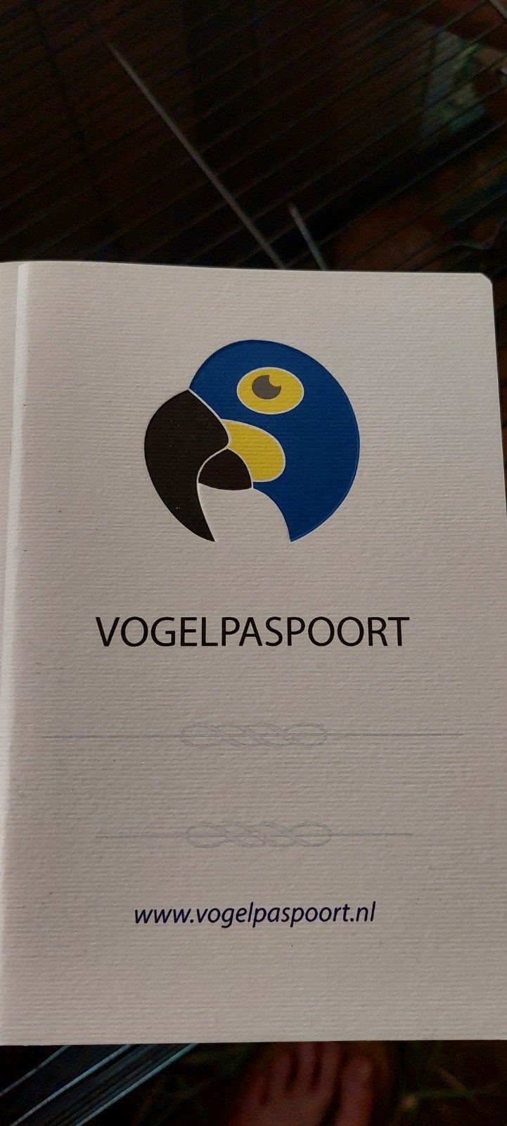 25x Nieuwe Vogelpaspoort, Ophalen, Nieuw