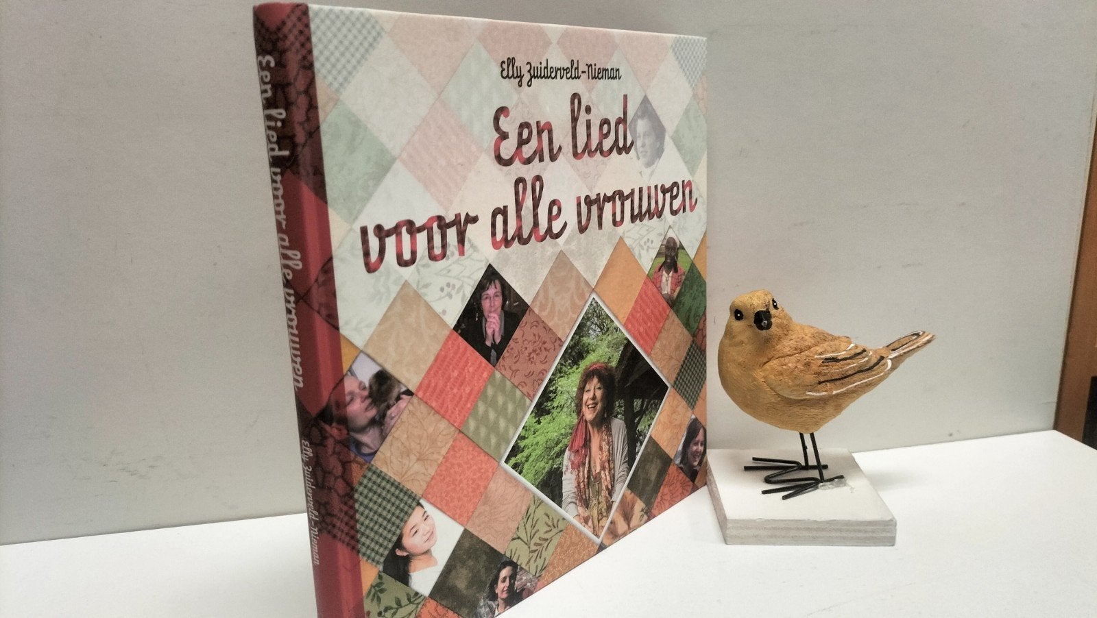 Zuiderveld-Nieman, Elly ; Een lied voor alle vrouwen, Ophalen of Verzenden, Gelezen, Christendom | Protestants
