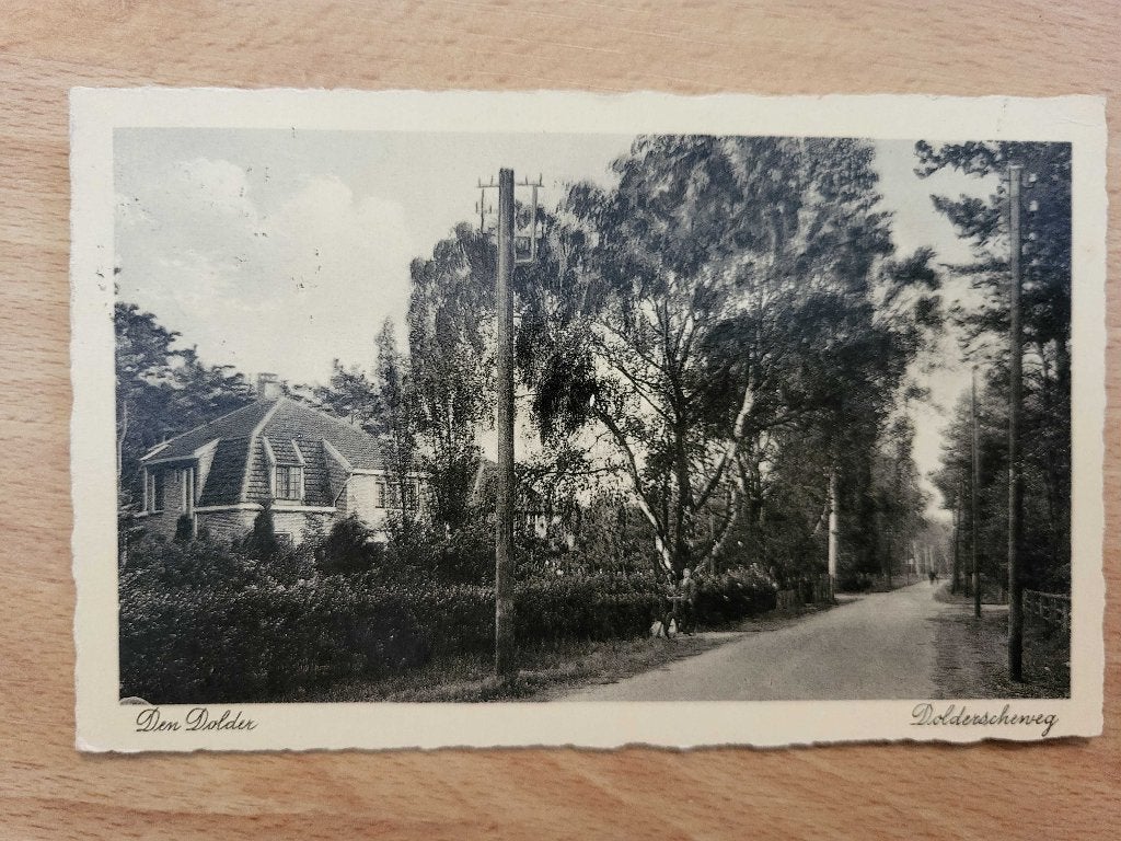 ansicht DEN DOLDER Dolderscheweg, Verzamelen, Ansichtkaarten | Nederland, Utrecht, Voor 1920, Ophalen