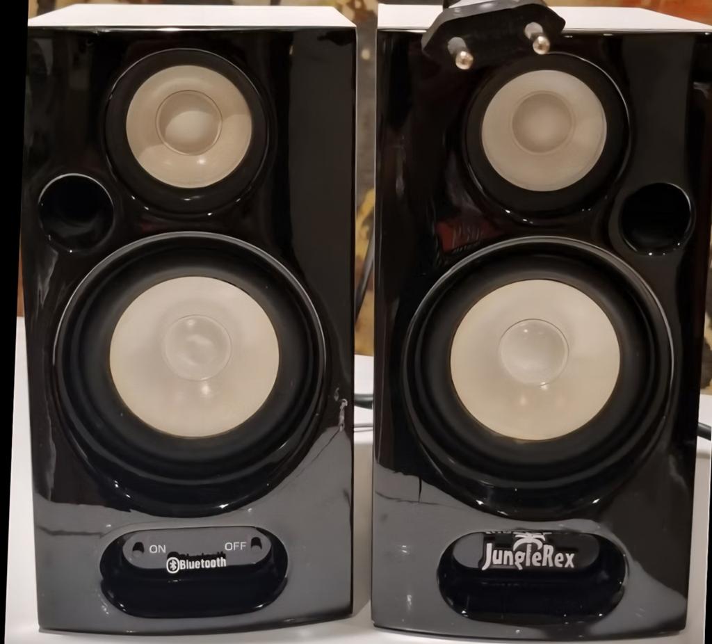 Junglerex Bluetooth Speakers, Overige merken, Ophalen of Verzenden, Zo goed als nieuw, Minder dan 60 watt