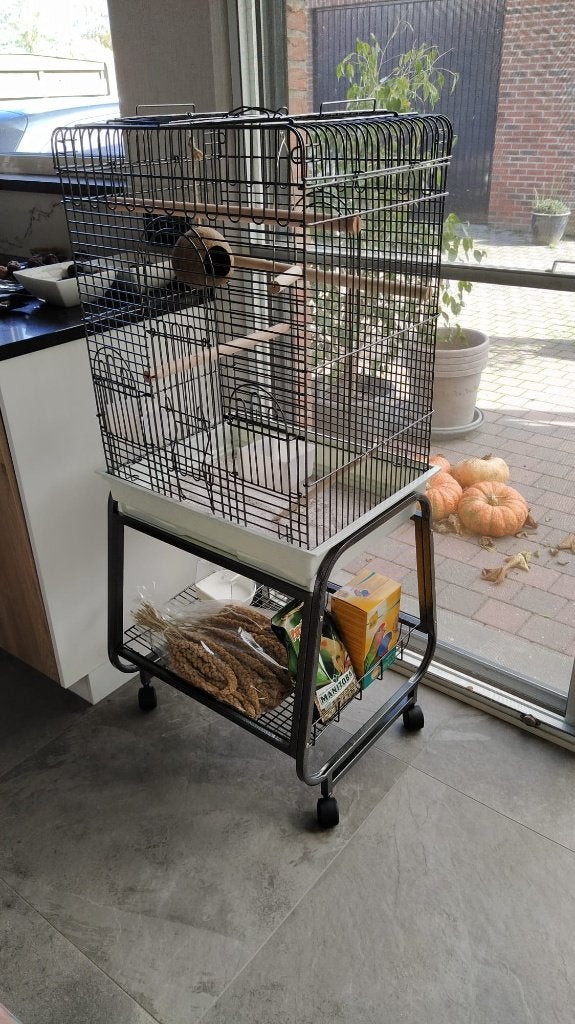 Vogelkooi te koop, Ophalen, Gebruikt, Metaal, Vogelkooi