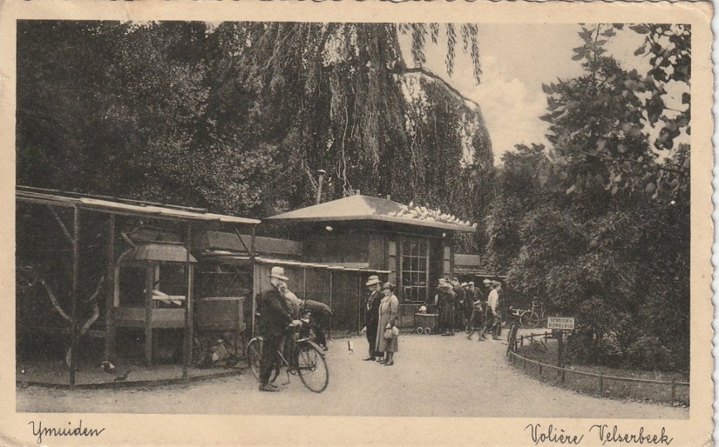 IJmuiden Volière Velserbeek   1940, Ophalen of Verzenden, 1940 tot 1960, Gelopen, Noord-Holland