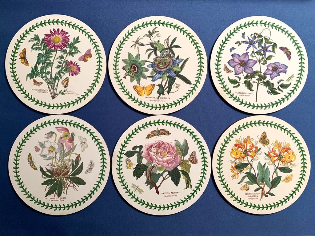 Portmeirion placemats, Huis en Inrichting, Woonaccessoires | Onderzetters, Ophalen of Verzenden, Zo goed als nieuw, Glas of Kopje