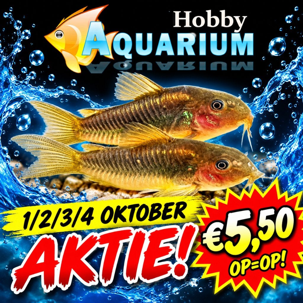 Hobbyaquarium overzicht/prijzen 30sept tot 4okt + aktie, Vis, Zoetwatervis