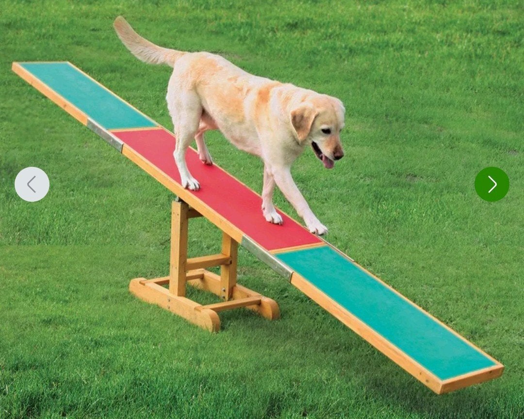 Behendigheid / Agility hondenwip Trixie, Dieren en Toebehoren, Ophalen, Behendigheidspeelgoed
