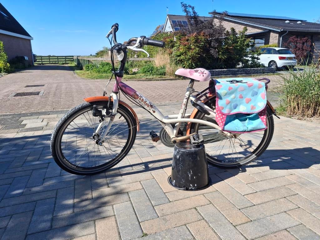 Meisjesfiets Batavus Gabana 24 Inch, frame 38cm, Fietsen en Brommers, Ophalen, Terugtraprem, Versnellingen, Batavus