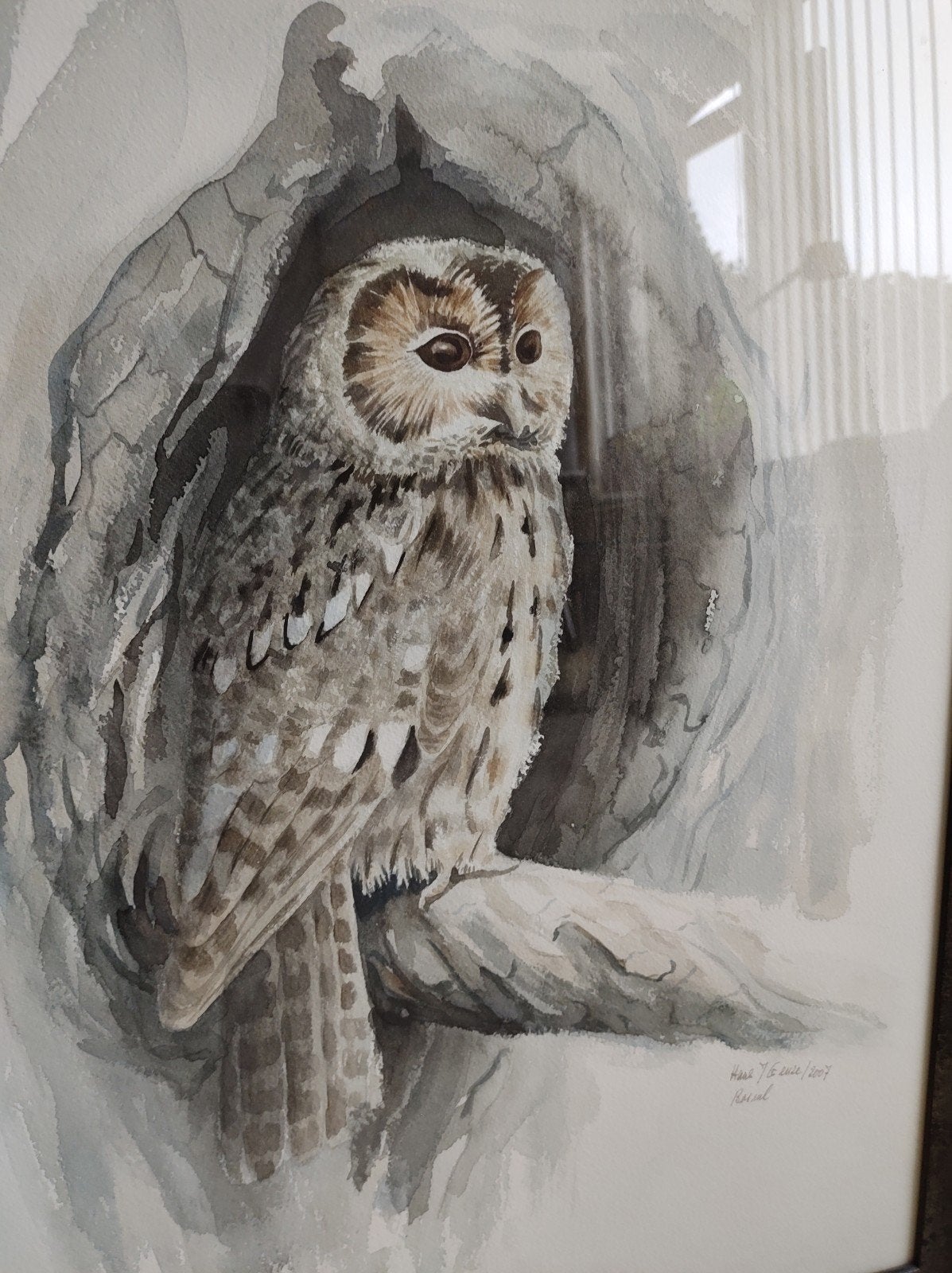 Aquarel bosuil van Hans J. Geuze wild artist, Ophalen