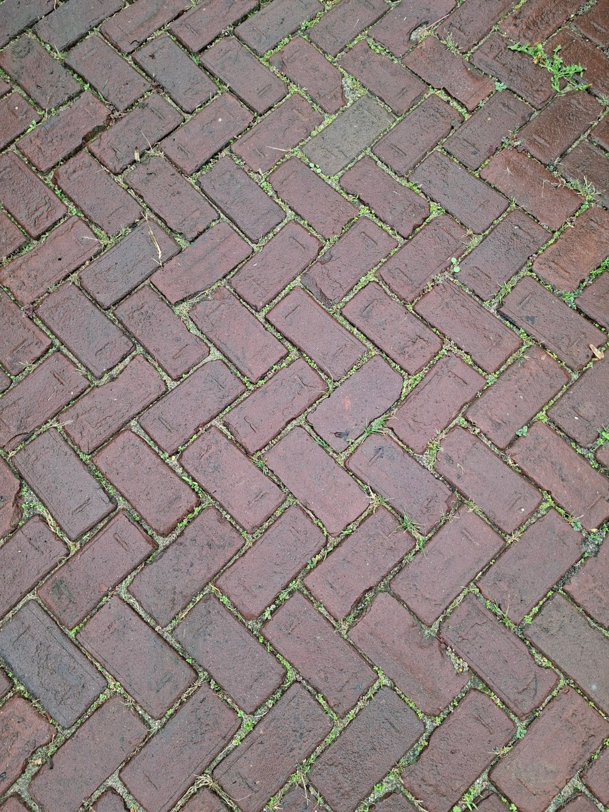 oude gebakken keiformaat rood/bruin op pallet, Ophalen, Gebruikt, Keramiek, Klinkers