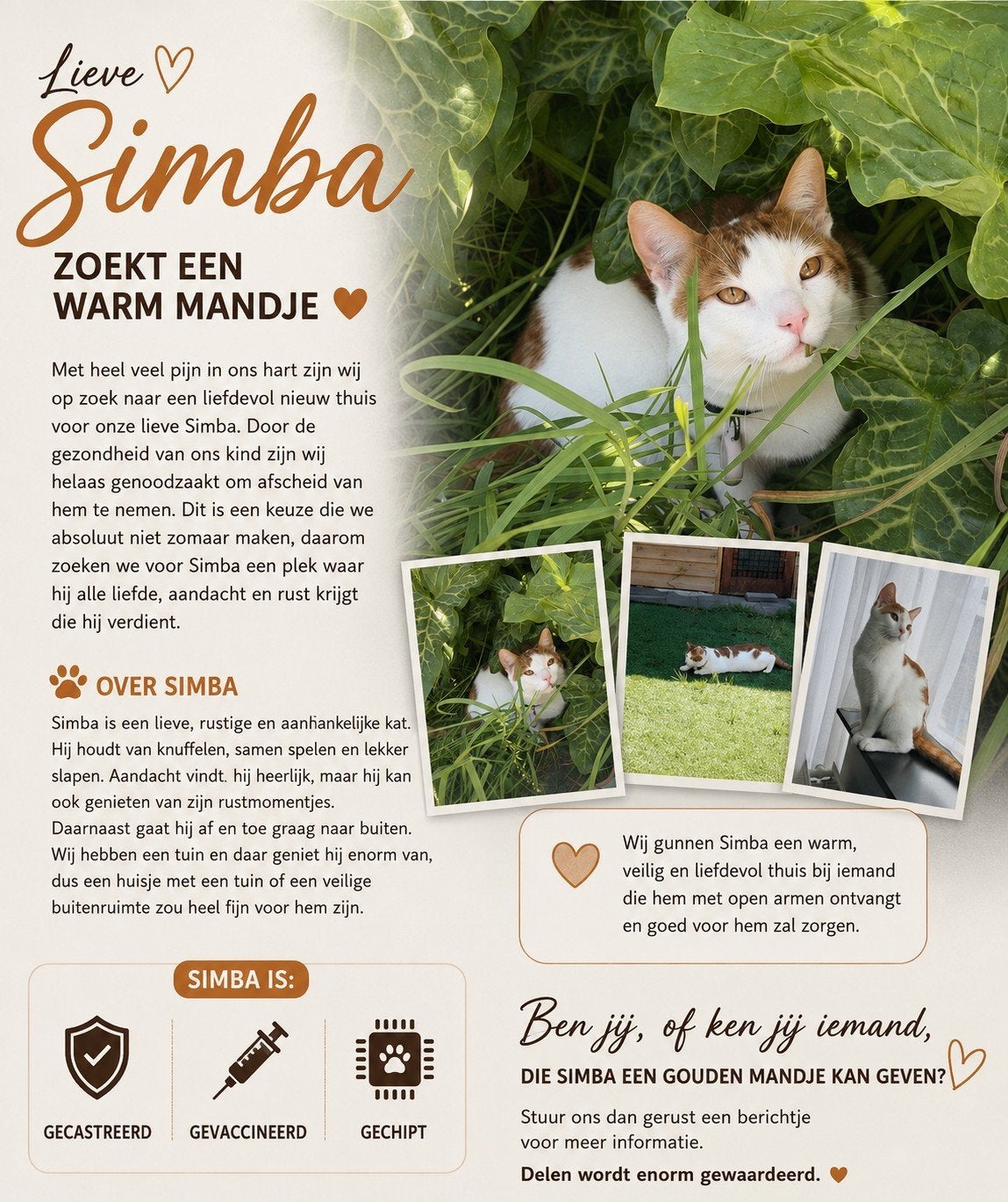 Opzoek naar een warme nestje voor onze Simba, Dieren en Toebehoren, Dierenvoeding, Ophalen, Vee