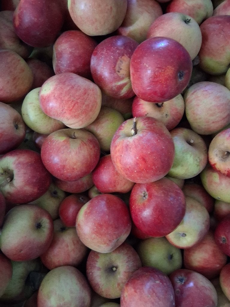Appels, Ophalen