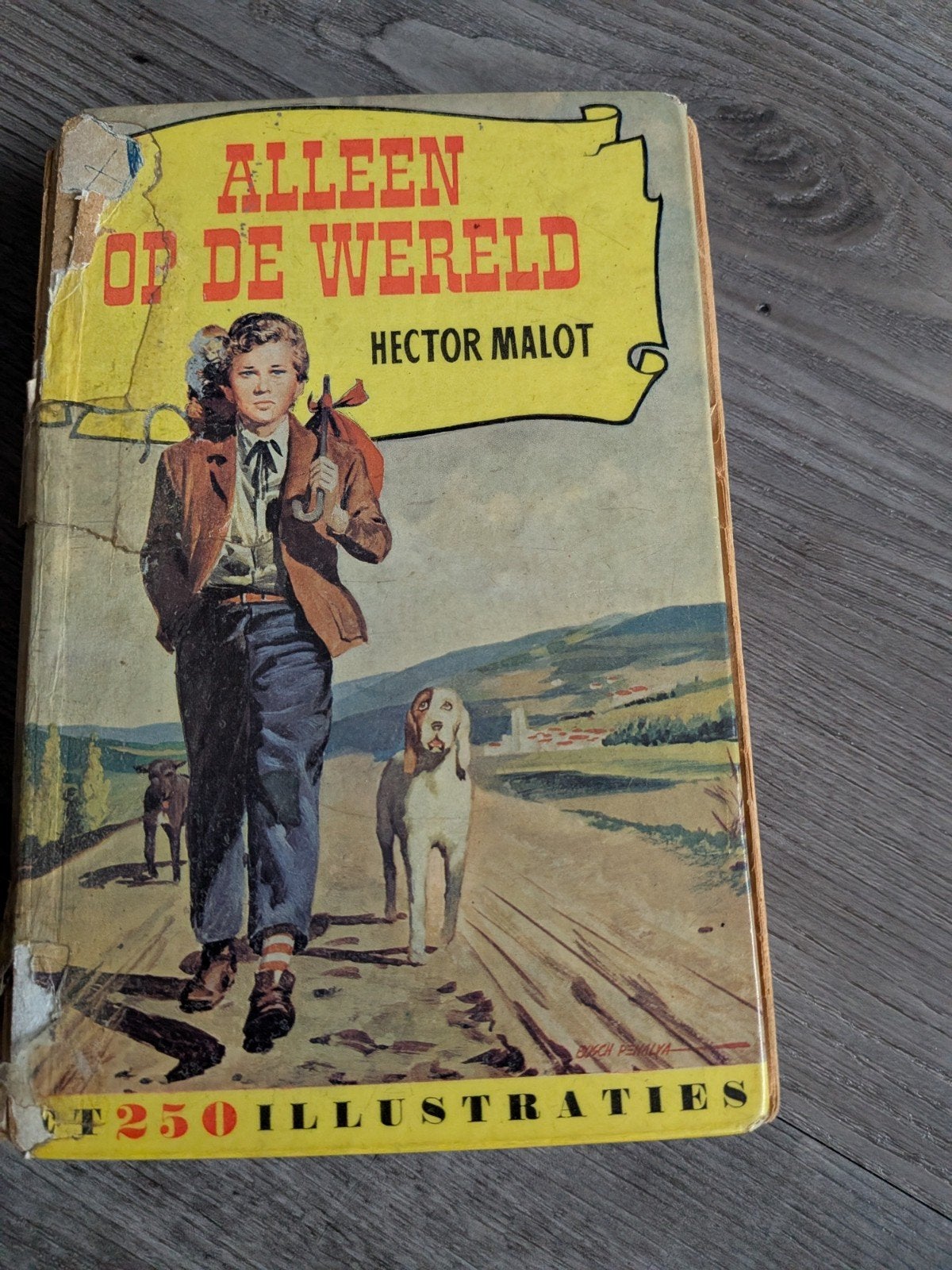 Mooi oud boek van Alleen op de wereld, Verzamelen, Speelkaarten, Jokers en Kwartetten, Ophalen of Verzenden, Gebruikt