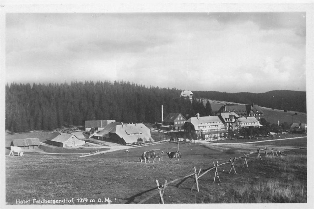 701-422-001 Feldberg Schwarzwald Hotel, Ophalen of Verzenden, Voor 1920, Duitsland