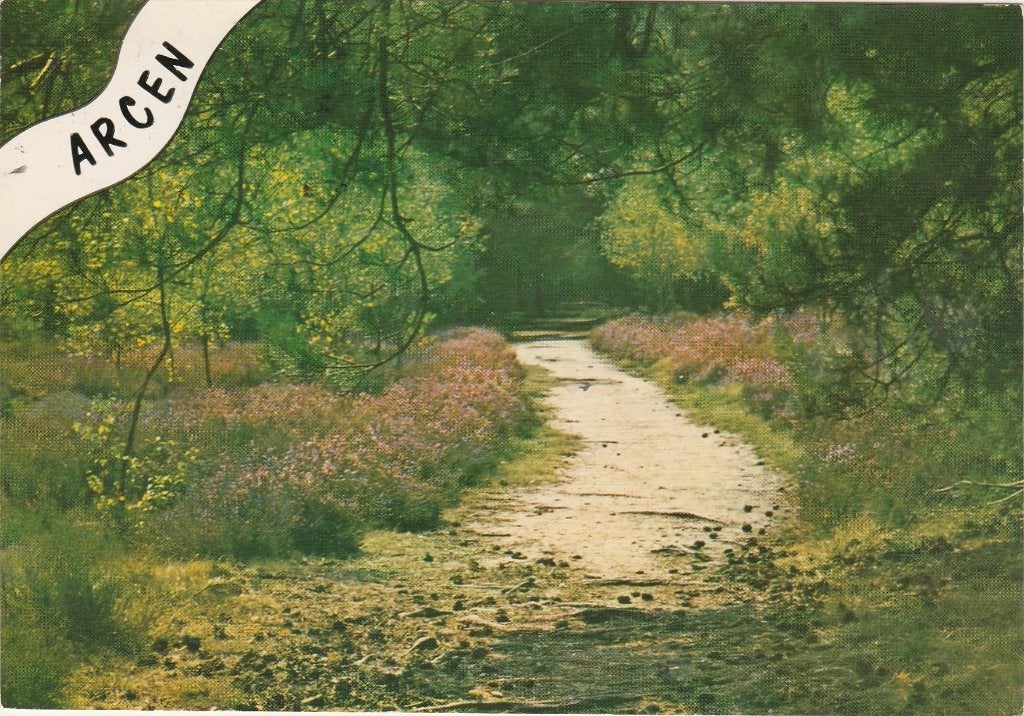 ARCEN Bosgezicht, Verzenden, 1960 tot 1980, Gelopen, Limburg