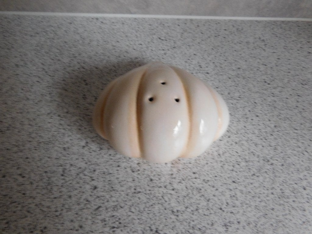 Zoutpot Schelp, Overige merken, Overige typen, Ophalen of Verzenden, Zo goed als nieuw