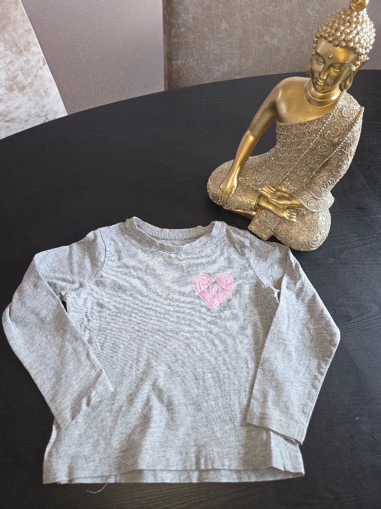 Maat 98, Kinderen en Baby's, Meisje, Ophalen of Verzenden, Zo goed als nieuw, Shirt of Longsleeve