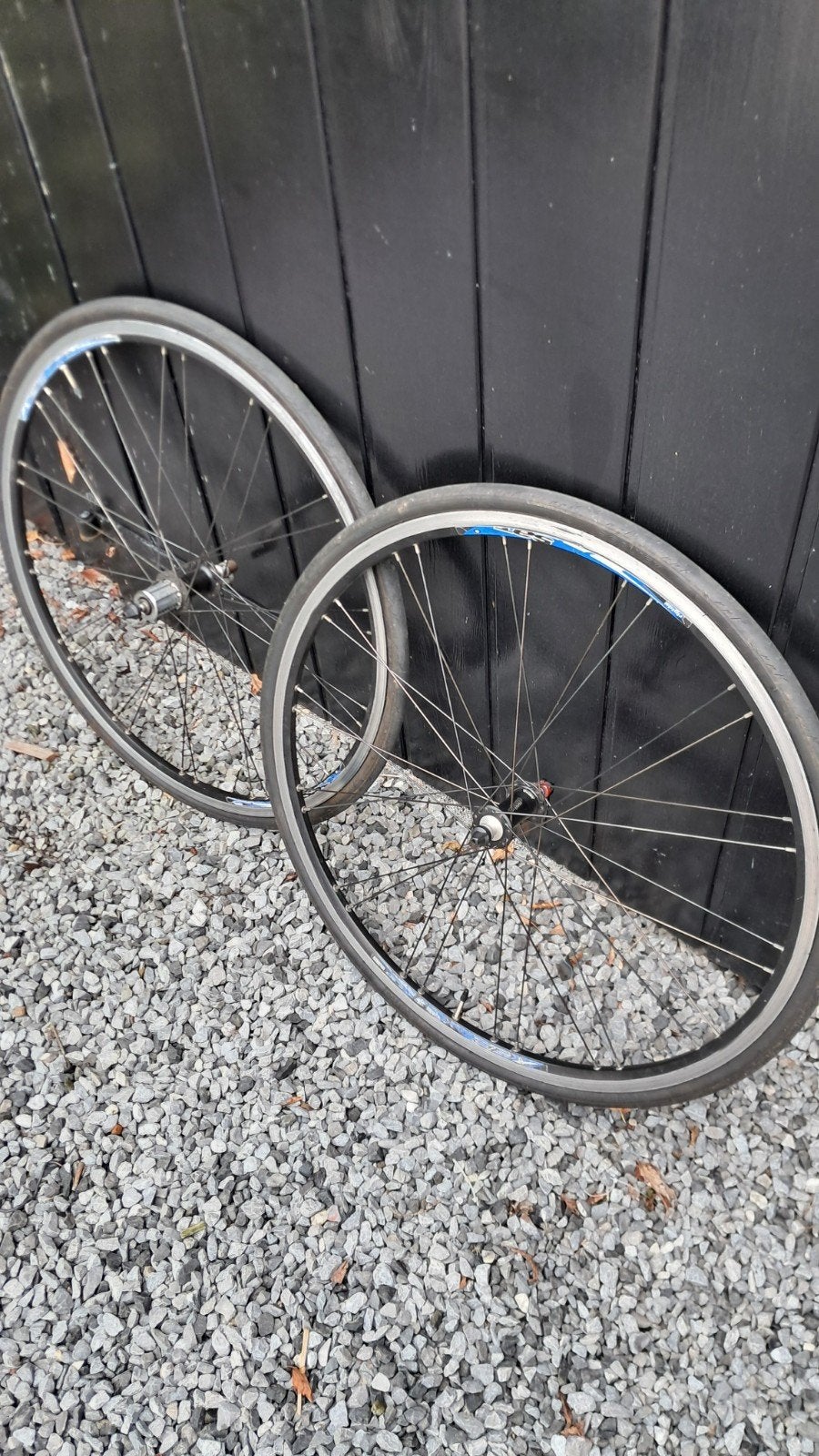 Miche wielen met Campagnolo body, Wiel, Gebruikt, Miche, Ophalen of Verzenden