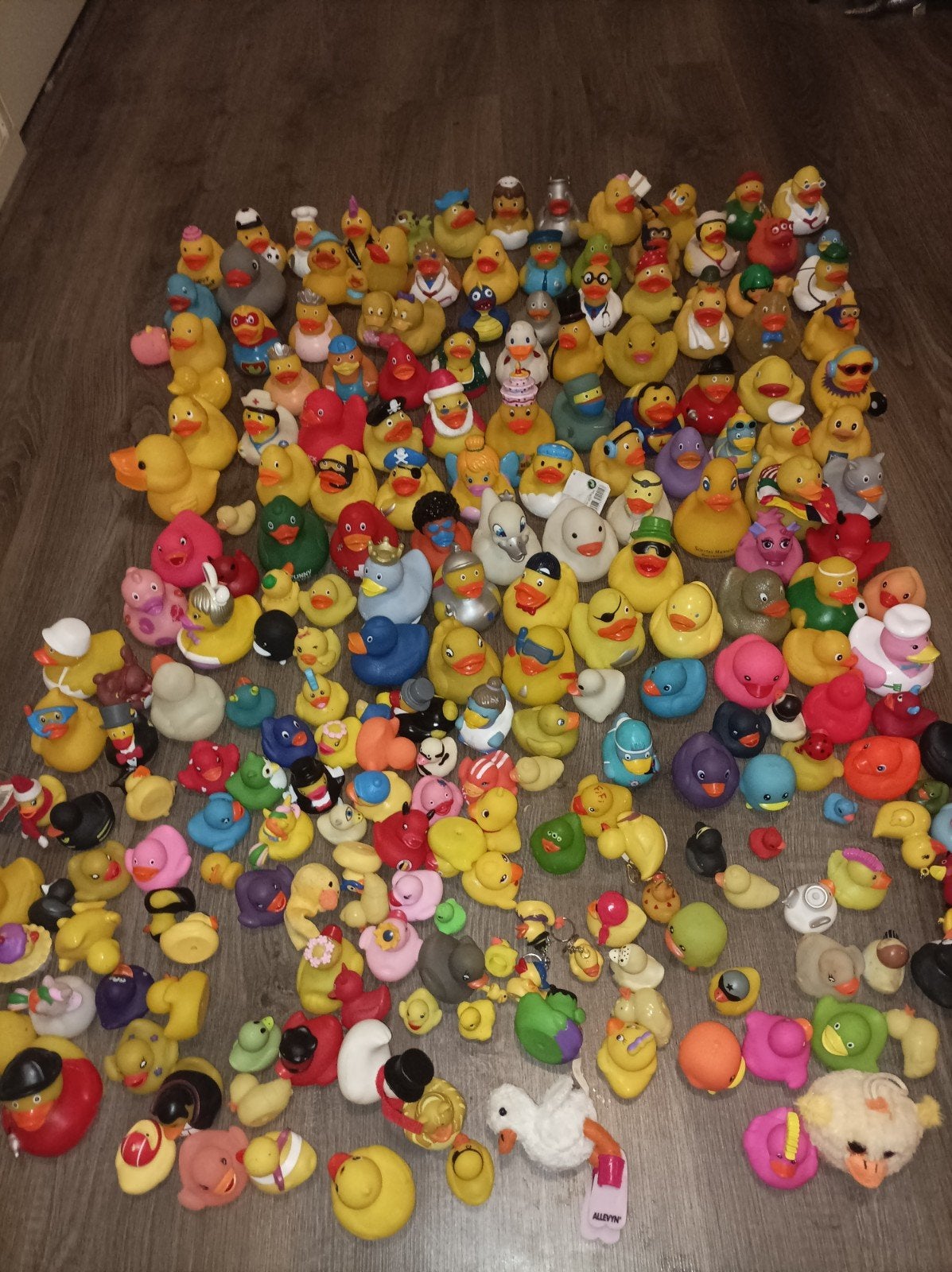 zeer grote verzameling bad eendjes badeend, Ophalen of Verzenden, Zo goed als nieuw