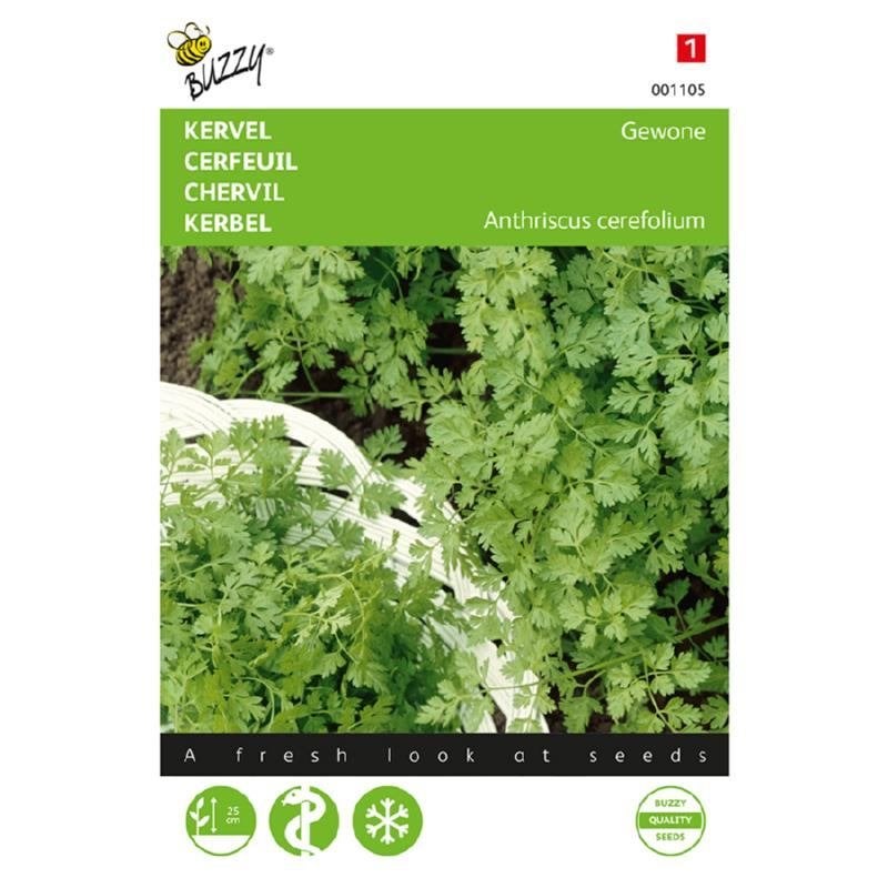 Buzzy Seeds Kervel Gewone kruidenzaden - nieuw, Ophalen of Verzenden, Voorjaar, Volle zon, Zaad