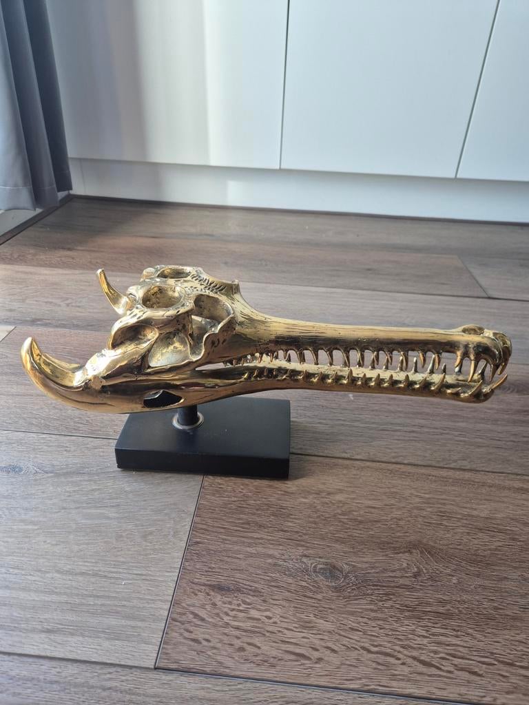 Bronzen XL gaviaal schedel op voetstuk goudkleurig sooka, Ophalen, Overige onderwerpen, Brons, 20 - 50 cm