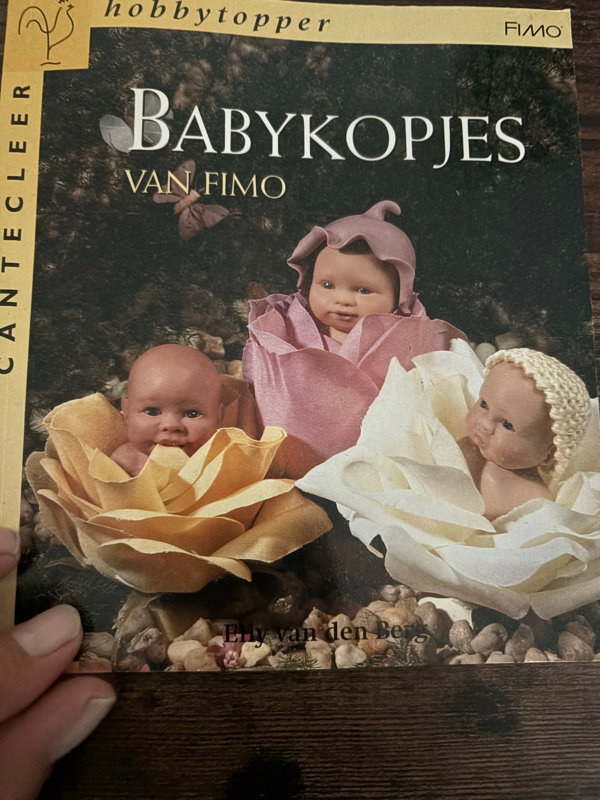Fimo Knutselboek: Babykopjes van Fimo - Elly van den Berg, Gebruikt, Overige thema's, Meerkleurig, Ophalen of Verzenden