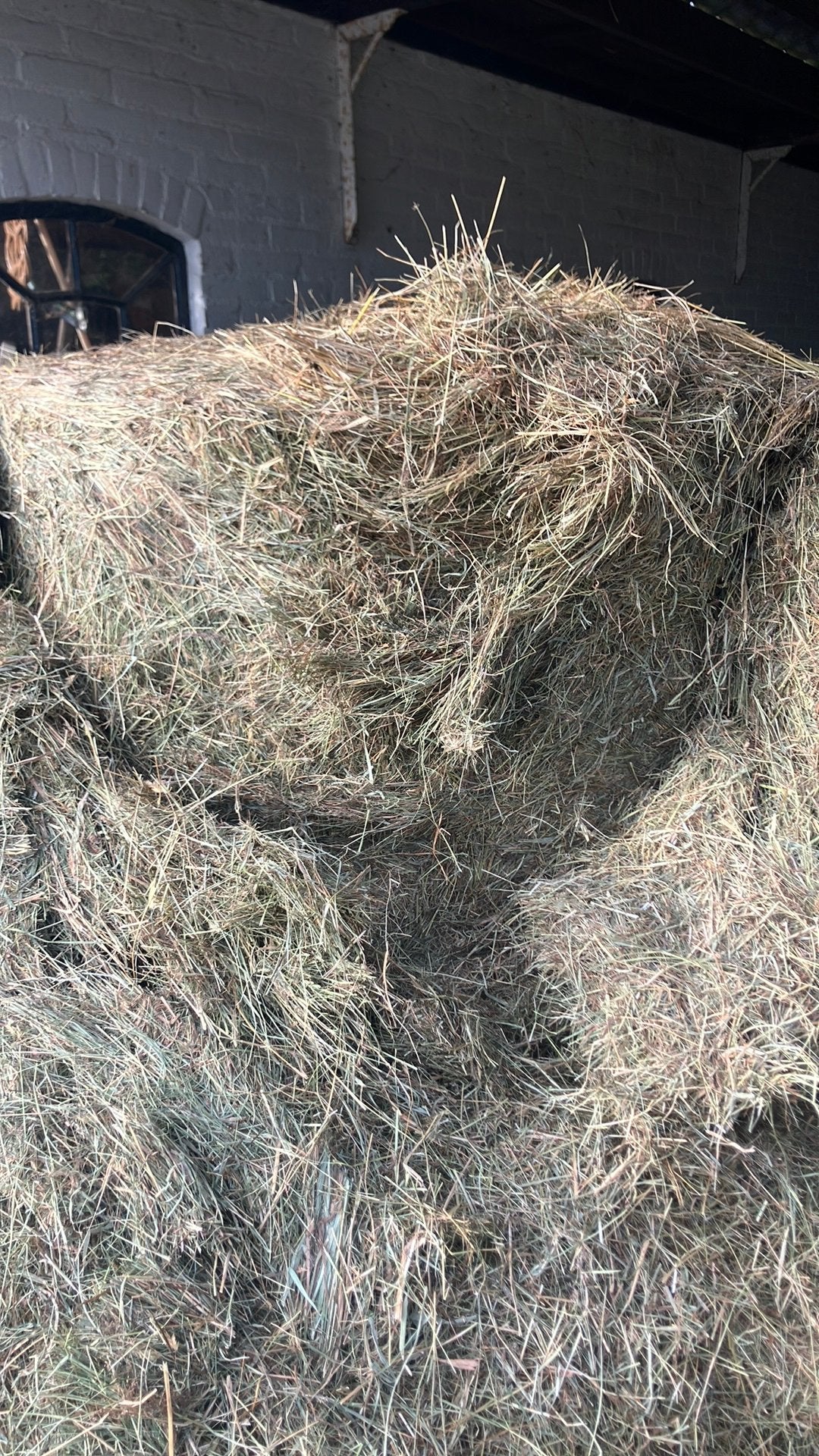 Gratis biologisch hooi 1 grote baal, Ophalen, Vee