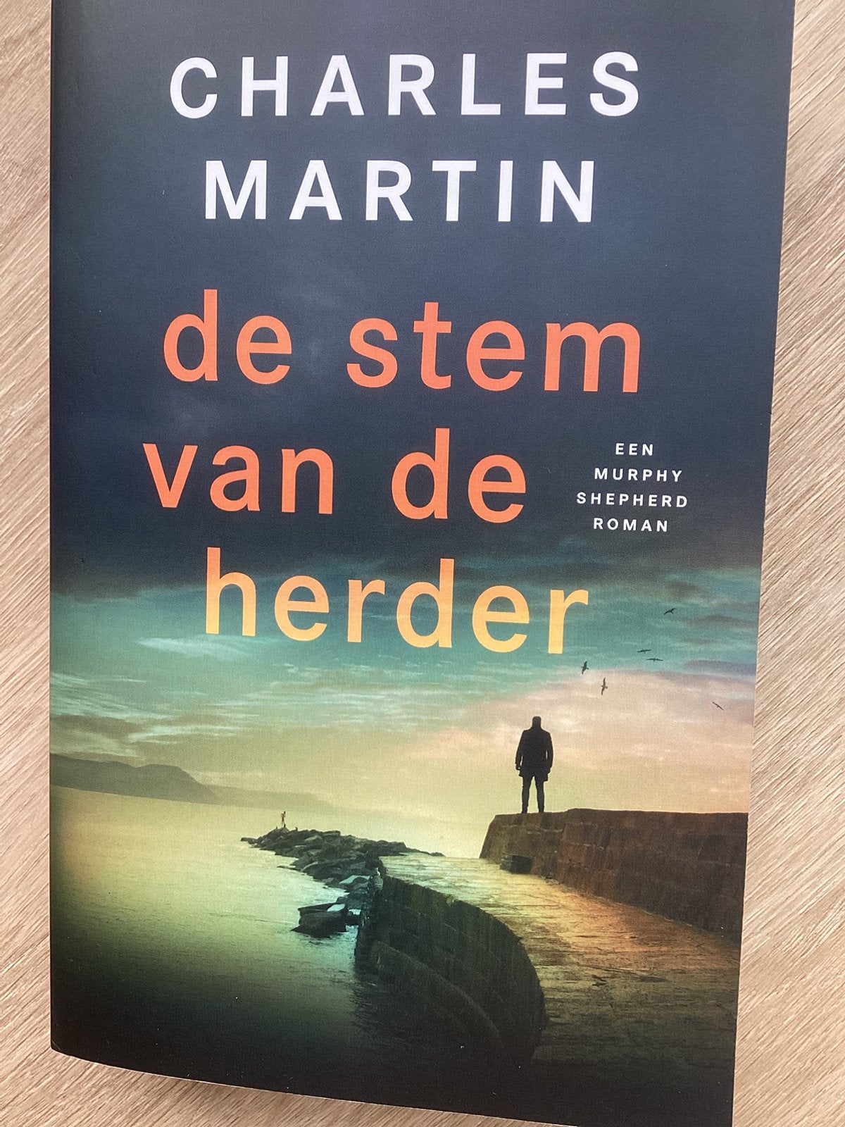 Charles Martin - De stem van de herder - als nieuw - 2025, Boeken, Ophalen of Verzenden, Zo goed als nieuw, Charles Martin