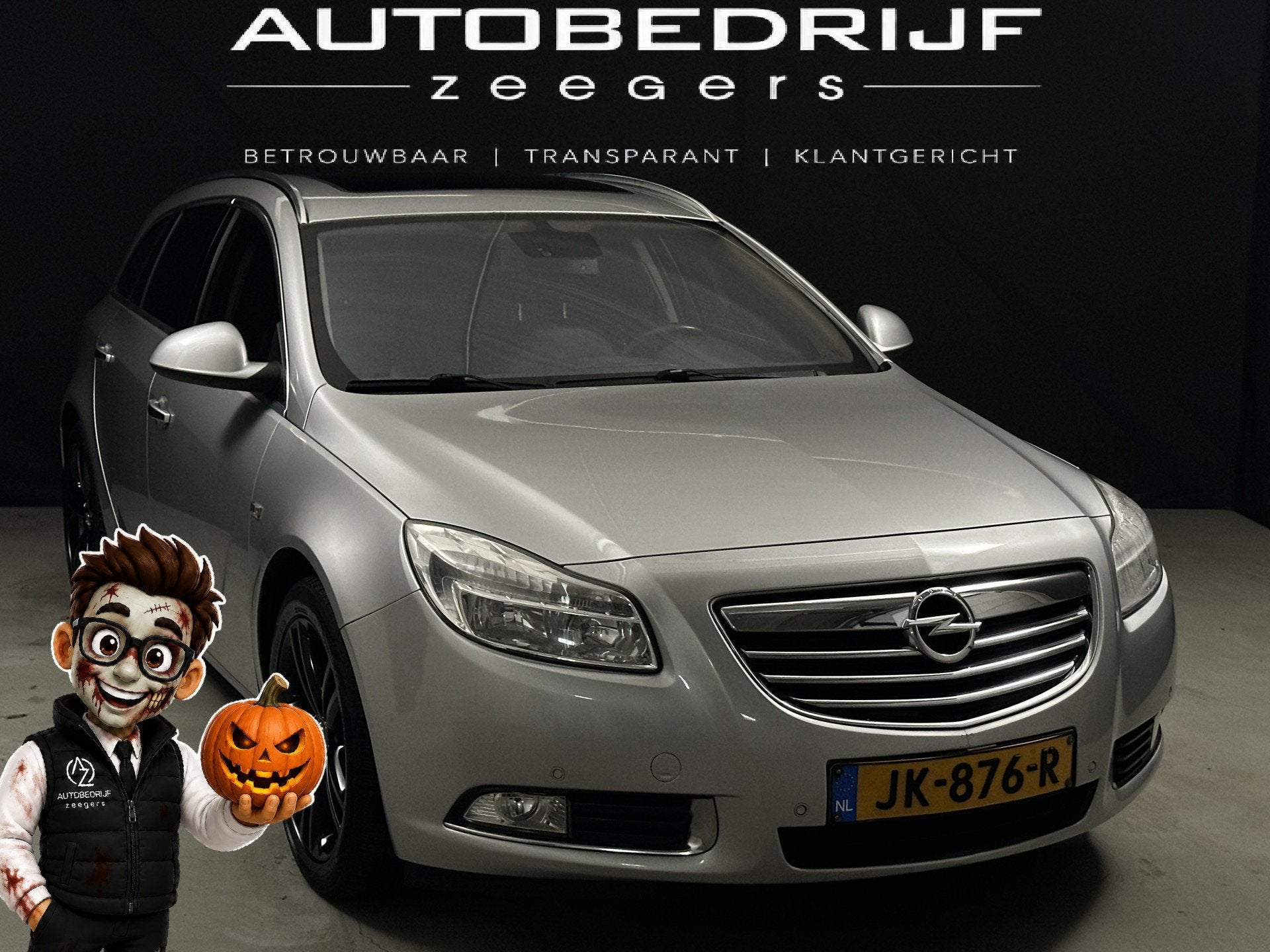 Opel Insignia Sports Tourer 2.0 Turbo Cosmo *Automaat*Pano*F, Gebruikt, 4 cilinders, 10 km/l, 93 €/maand