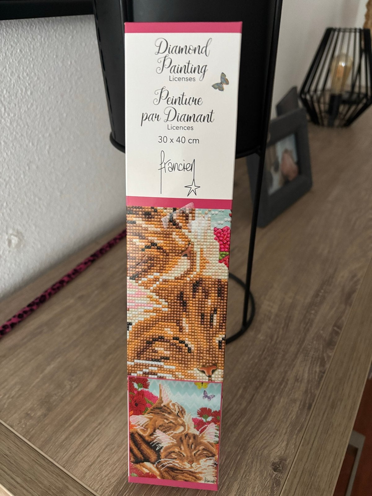 Diamond Painting Katten 30x40 cm, Nieuw, Meerkleurig, Ophalen of Verzenden, Diamond painting
