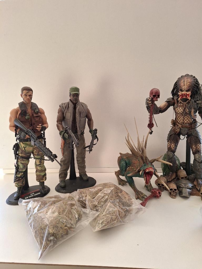Hot Toys Predator Collectie en Custom 1:6 UNIEK!!!!, Verzamelen, Ophalen, Zo goed als nieuw, Actiefiguur of Pop