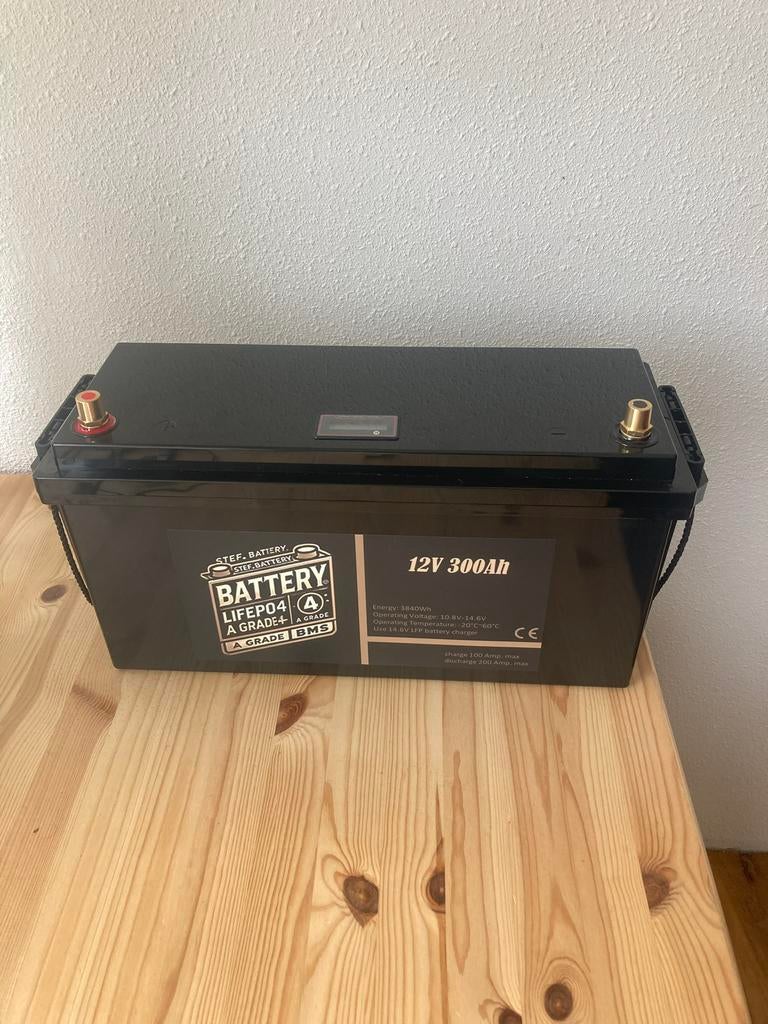LiFePO4 Accu 12V 100Ah tot 300Ah met Laders 3 jaar garantie, Ophalen of Verzenden, Nieuw, Smart