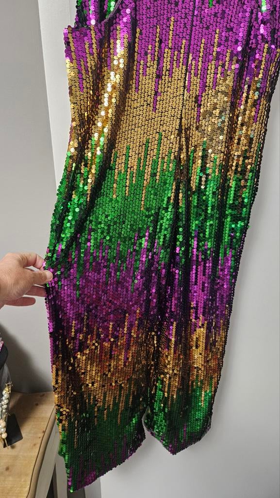 Carnaval tuinpak met glitter, Ophalen, Carnaval, Zo goed als nieuw, Kleding