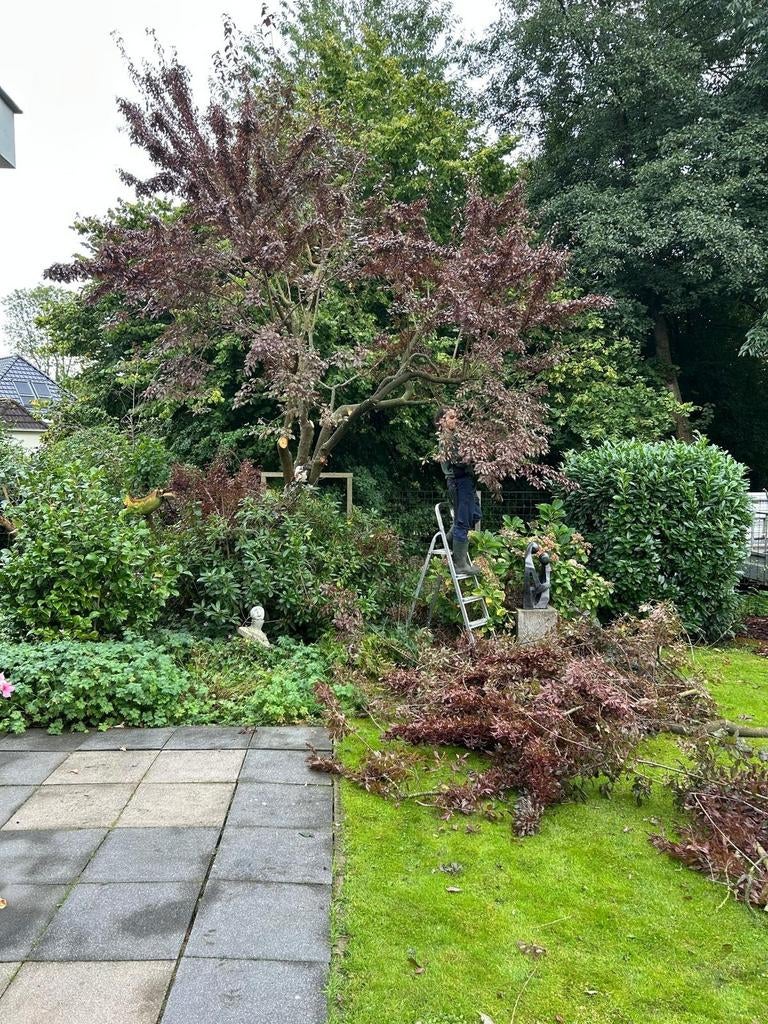 Hovenier: van alle markten thuis!, Garantie, Tuinontwerp