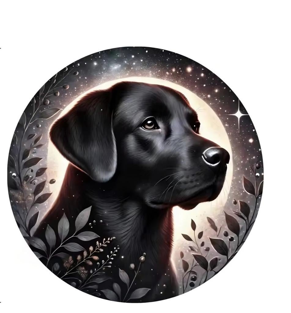 Metalen Wandbord met Hond, Nieuw, Onbekend, Onbekend@example.com, Generic