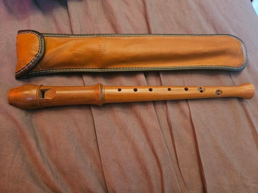 Houten blokfluit met etui, Ophalen of Verzenden, Gebruikt, Sopraan of Sopranino, Met koffer, hoes of etui