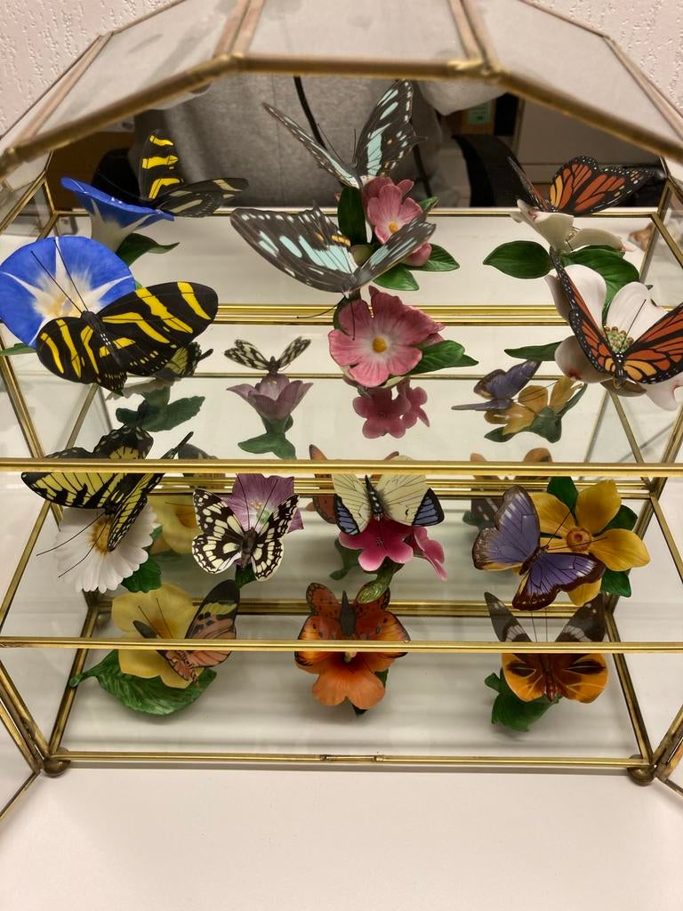 Franklin Mint Beeldjes Vogels en Vlinders, Ophalen