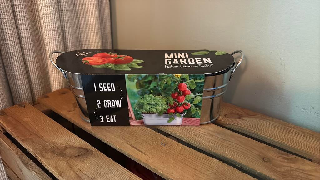 Basilicum tomaat plantjes, Ophalen of Verzenden, Halfschaduw, Minder dan 100 cm