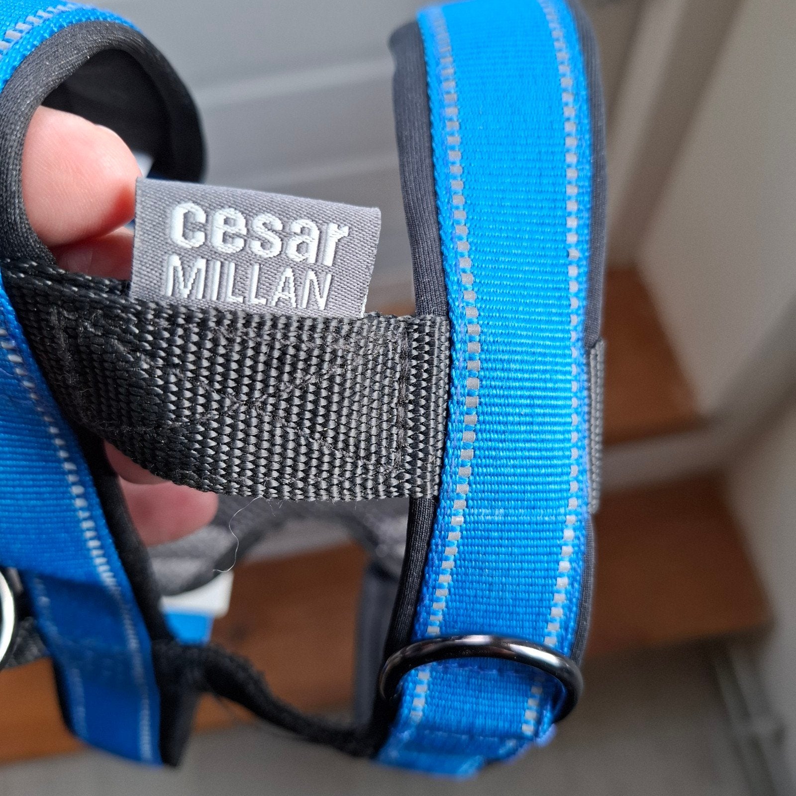 Caesar Milan honden trainingshalsband, Ophalen of Verzenden