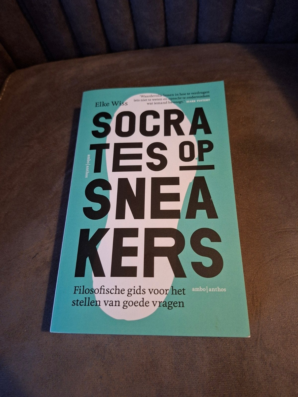 Socrates op Sneakers - Elke Wiss (Zo goed als nieuw), Boeken, Ophalen of Verzenden, Zo goed als nieuw, Elke Wiss
