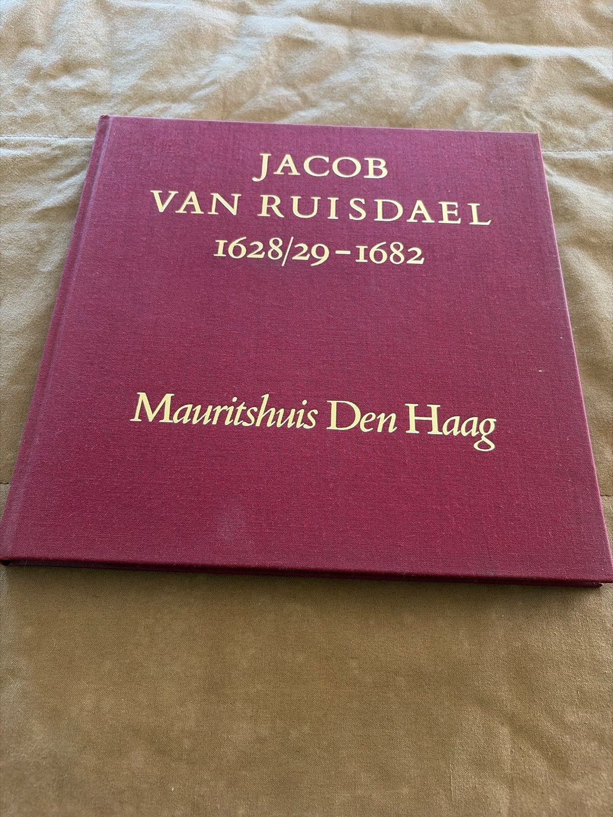 Jacob van Ruisdael Mauritshuis Den Haag Boek, Ophalen of Verzenden, Zo goed als nieuw, Nederland