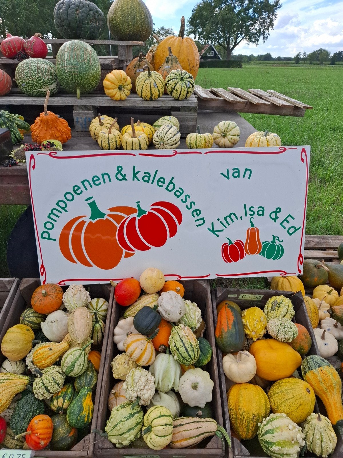 Diverse Pompoenen en Kalebassen - Vers van het Land, Tuin en Terras, Ophalen, Volle zon, Groenteplanten, Eenjarig