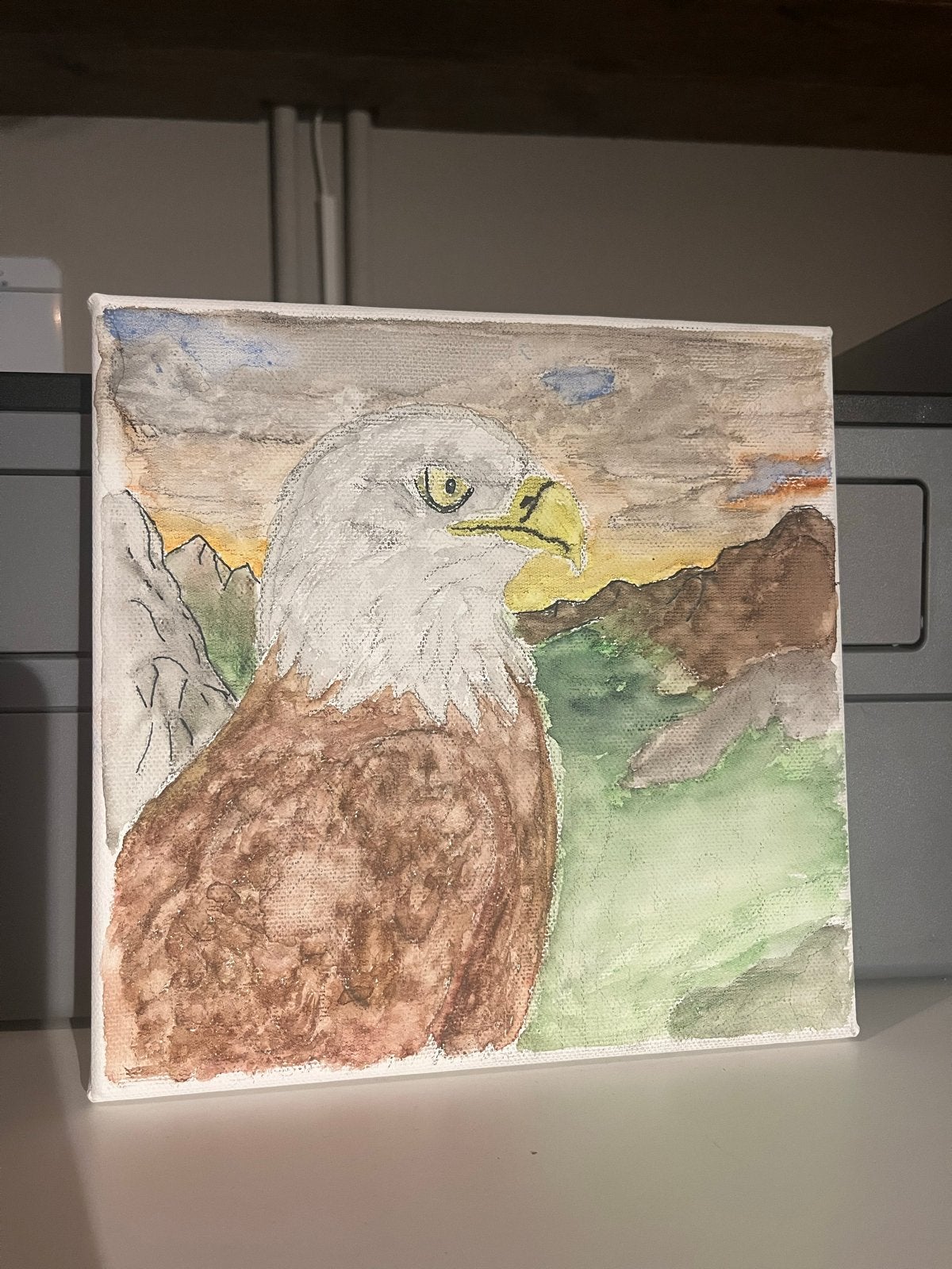 Handgeschilderd canvas: Amerikaanse Zeearend, Handgeschilderd, Ophalen of Verzenden, Dieren, Overige technieken