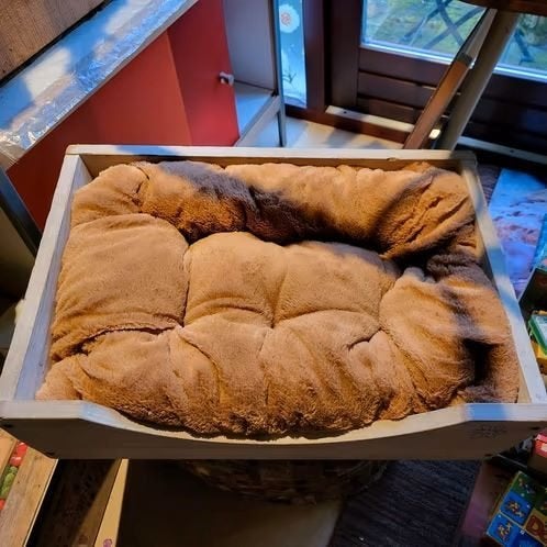 Houten hondenmand, Ophalen of Verzenden, Zo goed als nieuw, Overige