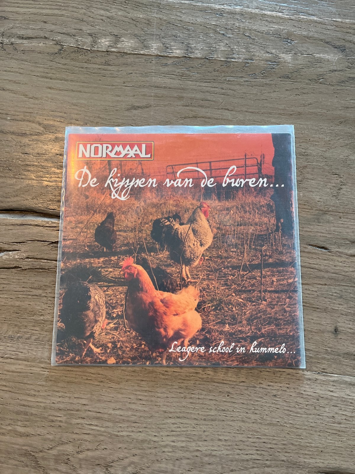 Normaal - De Kippen van de Buren... (CD Single), Ophalen of Verzenden, Gebruikt, Rock, Single