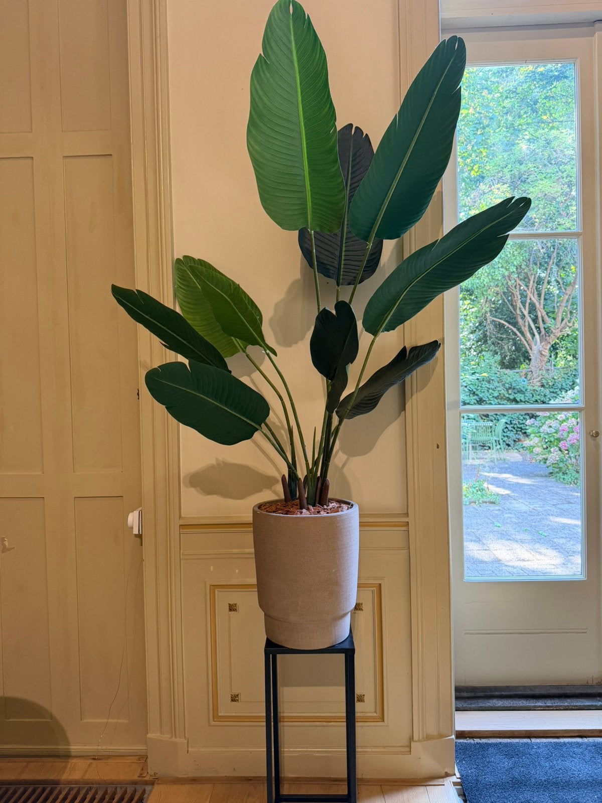Nep plant, Ophalen, Halfschaduw, Minder dan 100 cm