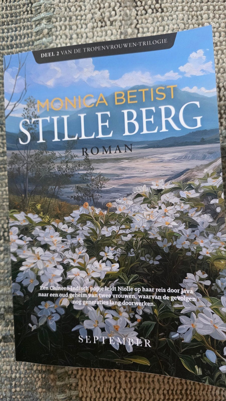 Monica Betist - Stille berg, Ophalen of Verzenden, Zo goed als nieuw, Monica Betist