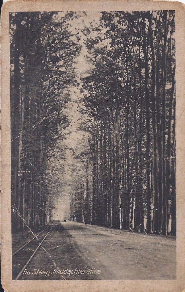 De Steeg Middachter Allee Oude Gelopen Ansichtkaart ( 8295, Ophalen of Verzenden, 1940 tot 1960, Gelopen, Gelderland