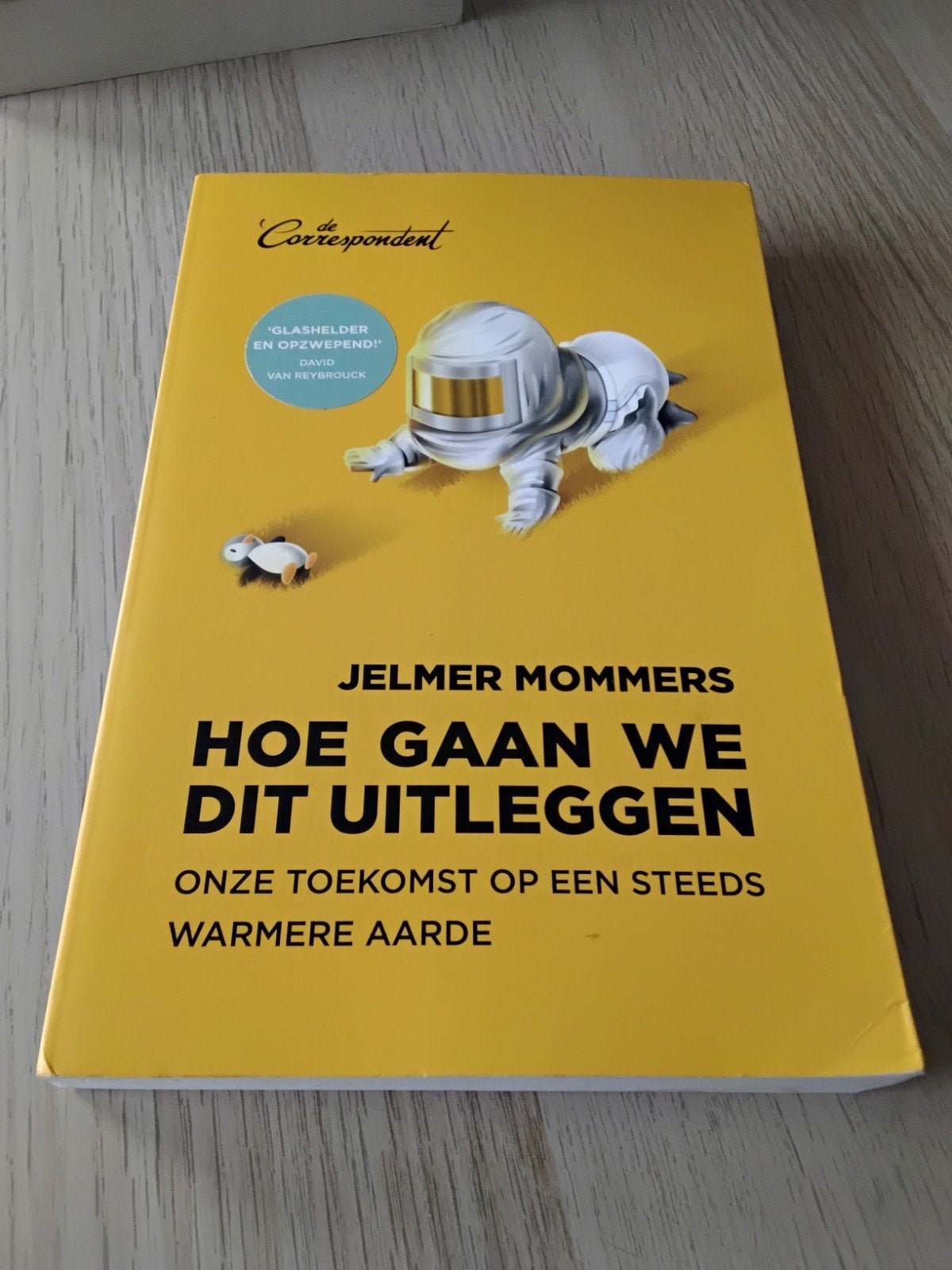 Jelmer Mommers - Hoe gaan we dit uitleggen, Ophalen of Verzenden, Zo goed als nieuw, Jelmer Mommers