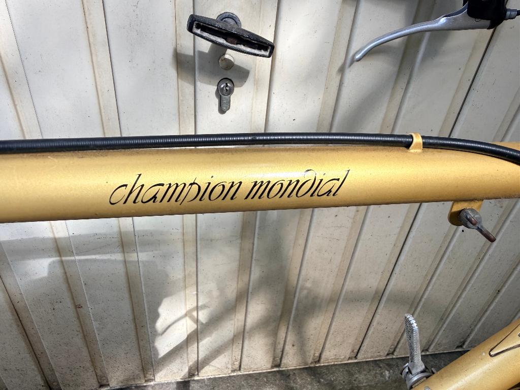 vintage gazelle racefiets, Ophalen, 28 inch, Gebruikt, Velgrem