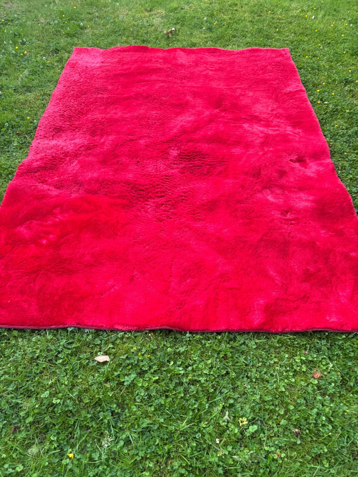 Rode vloerkleed 230x170cm nu voor 20 euro, 150 tot 200 cm, 200 cm of meer, Ophalen of Verzenden, Zo goed als nieuw