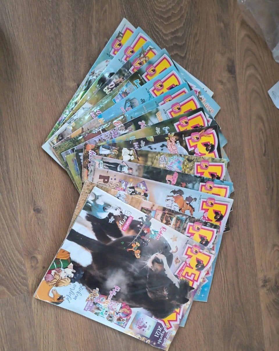 Diverse paarden tijdschriften (Penny, Pjip, etc.), Ophalen of Verzenden, Zo goed als nieuw, Overige typen